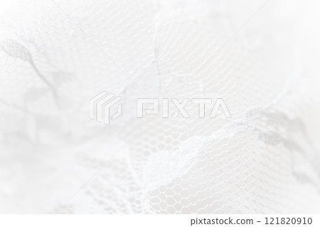 Lace/Beautiful background material 121820910