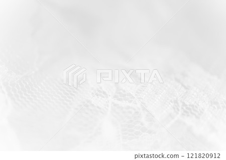 Lace/Beautiful background material 121820912