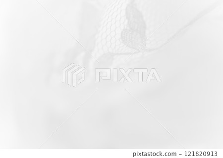 Lace/Beautiful background material Lace/Beautiful background material 121820913