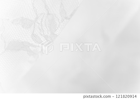 Lace/Beautiful background material 121820914