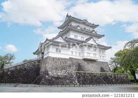 小田原城/神奈川縣小田原市城內6 小田原城/神奈川縣小田原市城內6 121821211