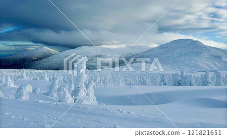 冰雪覆蓋的壯麗景色 121821651