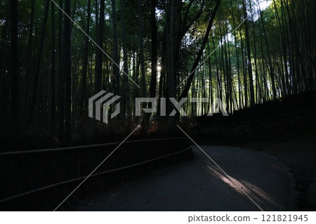 嵐山竹林小道光影 121821945