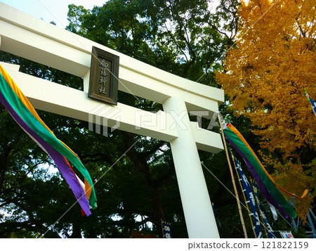 Torii gate and ginkgo tree at Kato Shrine Torii gate and ginkgo tree at Kato Shrine 121822159
