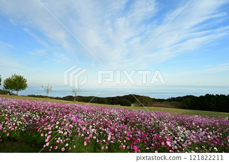 Awaji Hanasagiki 121822211
