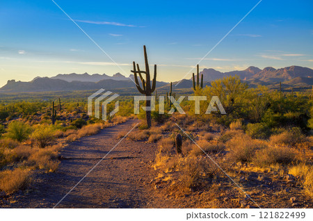 Sunset Over Desert Trail in Lost Dutchman State Park, Arizona Sunset Over Desert Trail in Lost Dutchman State Park, Arizona 121822499