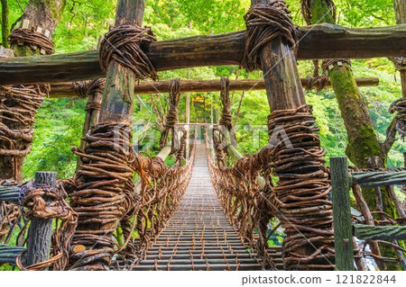 Iya Valley, Tokushima, Japan at the Kazurabashi Bridge Iya Valley, Tokushima, Japan at the Kazurabashi Bridge 121822844