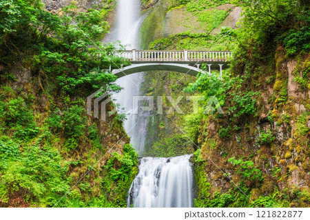 Multnomah Falls, Oregon, USA located in the Columbia River Gorge Multnomah Falls, Oregon, USA located in the Columbia River Gorge 121822877