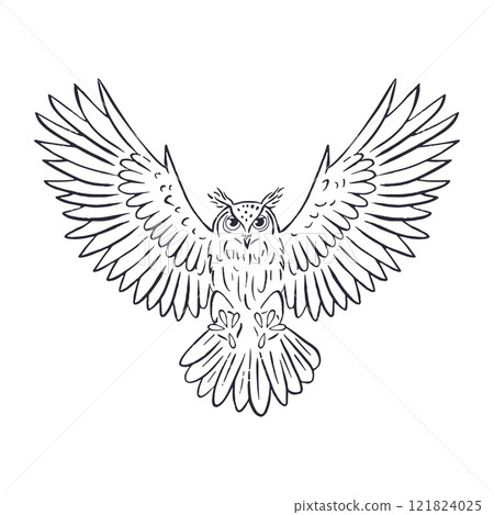 Hand drawn black and white line art eagle-owl flying 121824025