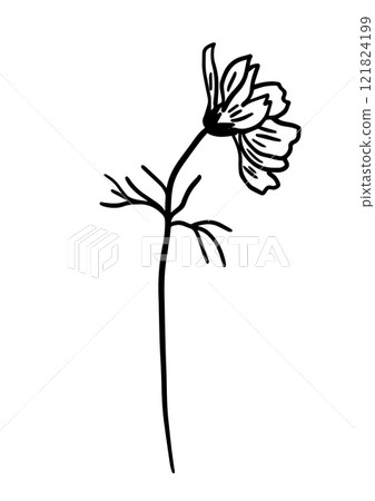 Flower cosmea monochrome one line. Minimalist contour drawing. hand drawing. Not AI, Vector illustration Flower cosmea monochrome one line. Minimalist contour drawing. hand drawing. Not AI, Vector illustration 121824199