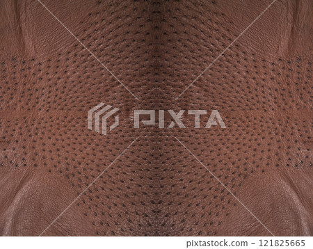 Background from a ostrich genuine leather brown 121825665