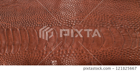 Ostrich leg leather brown isolated on a white background 121825667