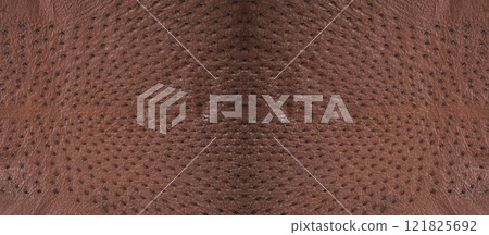 Background from a ostrich genuine leather brown 121825692