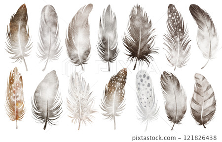 Watercolor set of bird feathers. Hand-drawn brown owl feather clip art on a white isolated background. Vintage feather bunch with soft plumage, perfect for boho and natural-themed prints. 121826438