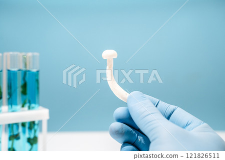 Mushroom in science lab. Biotechnology and medicine concept Mushroom in science lab. Biotechnology and medicine concept 121826511
