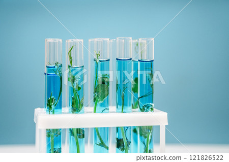 Test tubes with plants. Biotechnology and biochemistry science concept 121826522