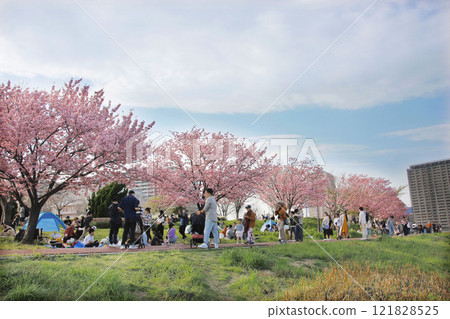 A large number of people gathered to enjoy the cherry blossoms. Each person was relaxing, eating and drinking in their own way. 121828525