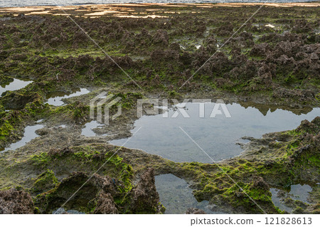 屋久島阿爾卑斯山的日出和隆起的珊瑚礁（冬季） 121828613