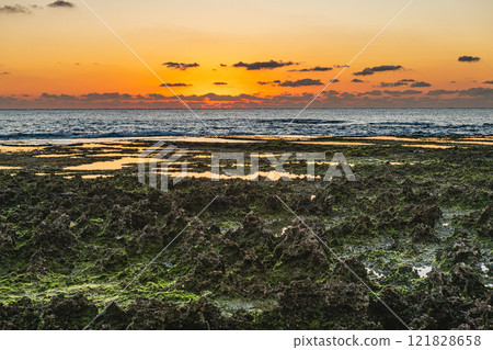 屋久島近海阿爾卑斯山的晨景（1月） 清晨的陽光照耀著隆起的珊瑚 121828658