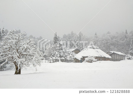 信州雪山村 信州雪山村 121828888