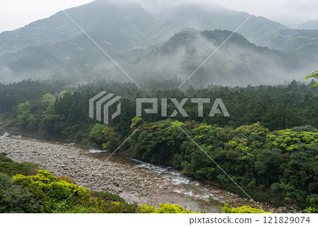 Fresh green forest, the island where the gods reside, Yakushima, an offshore Alps (Spring) 121829074