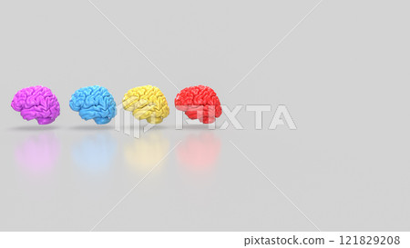 The Brain multi color on white background  for education or sci concept 3d rendering. 121829208
