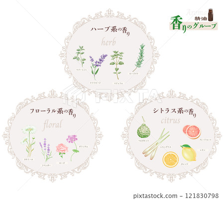 Classification of essential oil scents: Herbal, floral, citrus, rosemary, lavender 121830798