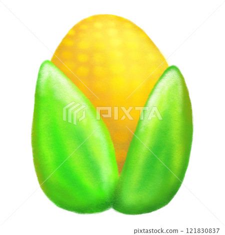 Crayon corn isolated illustration, corn with leaves soft color drawing 121830837