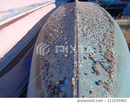 船底的藤壺 船底的藤壺 121830862