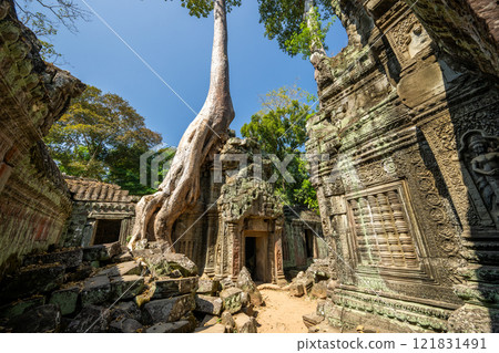 柬埔寨吳哥遺址塔普倫遺址 121831491