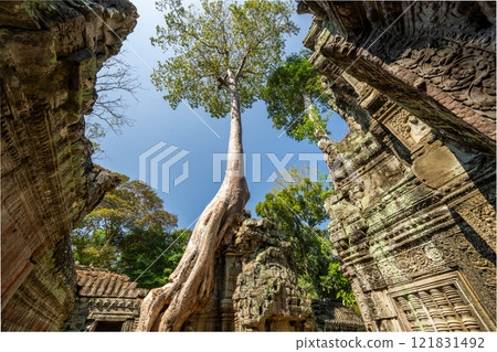 柬埔寨吳哥遺址塔普倫遺址 121831492