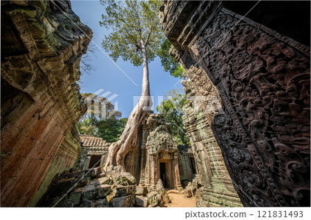 Cambodia Angkor Wat Ta Prohm 121831493