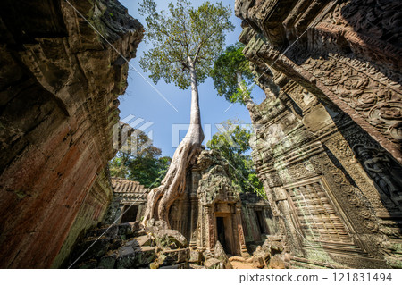 Cambodia Angkor Wat Ta Prohm Cambodia Angkor Wat Ta Prohm 121831494
