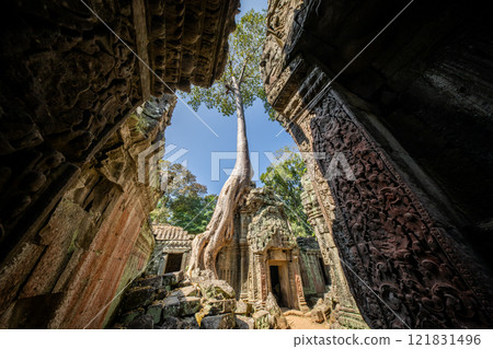Cambodia Angkor Wat Ta Prohm Cambodia Angkor Wat Ta Prohm 121831496