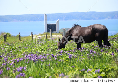 Horses and stone monument at Ayamegahara Primeval Flower Garden 121831607