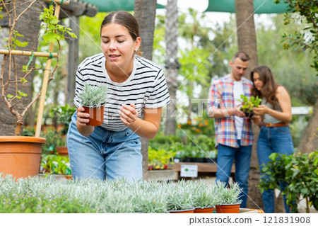 Girl choosing potted Helichrysum tianschanicum plant in garden store Girl choosing potted Helichrysum tianschanicum plant in garden store 121831908