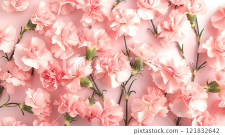 Natural macro texture of beautiful Pastel pink carnation flower. Closeup Botanical Natural background 121832642
