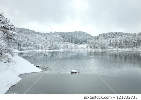 Winter at Aranuma Prefectural Forest Winter at Aranuma Prefectural Forest 121832733