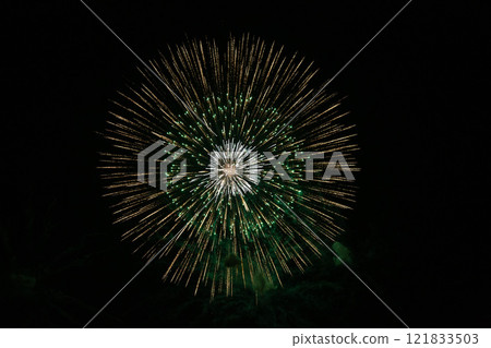 Fireworks blooming in the night sky Fireworks blooming in the night sky 121833503