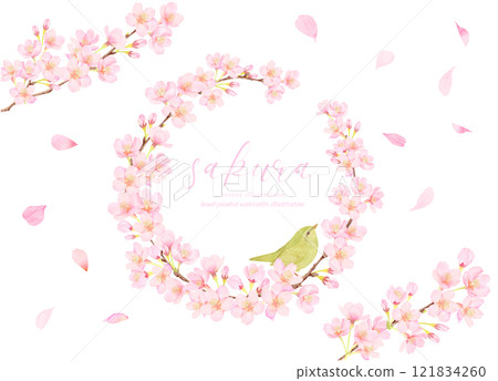 Cherry blossoms and bush warblers vector illustration frame material Cherry blossoms and bush warblers vector illustration frame material 121834260