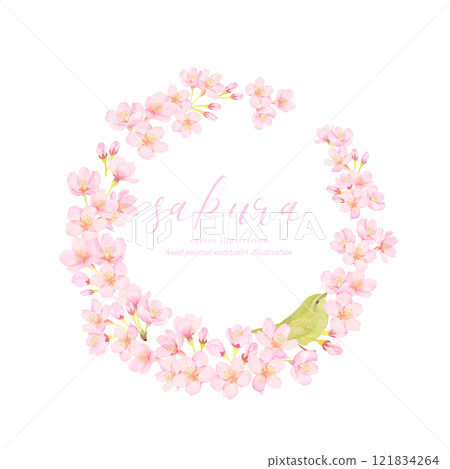 Cherry blossoms and bush warblers vector illustration frame material Cherry blossoms and bush warblers vector illustration frame material 121834264