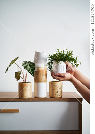Lots of planters and flower pots on the dresser. Lots of planters and flower pots on the dresser. 121834700