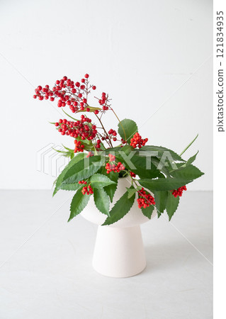 南天和千兩 121834935