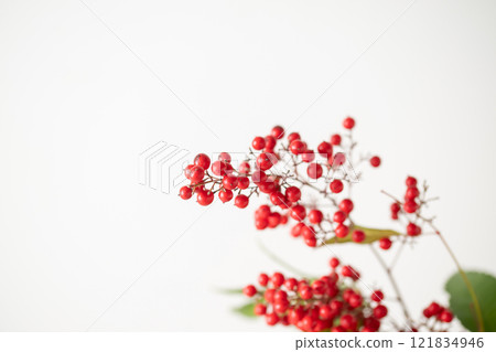 Nanten and Senryo Nanten and Senryo 121834946