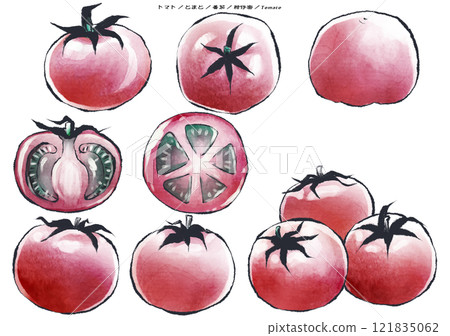 A calming ink painting of a tomato on a white background A calming ink painting of a tomato on a white background 121835062