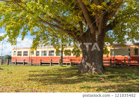 一作站和小湊鐵道的大銀杏樹 一作站和小湊鐵道的大銀杏樹 121835482