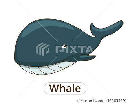 Whale sea animal fish cartoon illustration 121835591
