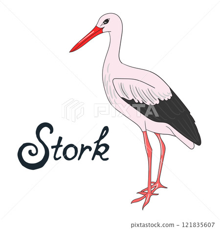 Bird stork vector illustration 121835607