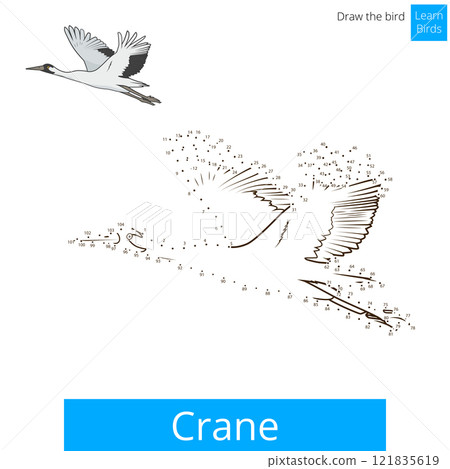 Crane bird learn to draw vector Crane bird learn to draw vector 121835619