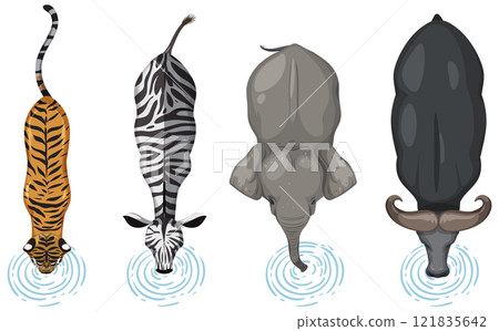 Biodiversity: Animals Drinking Water Together Biodiversity: Animals Drinking Water Together 121835642